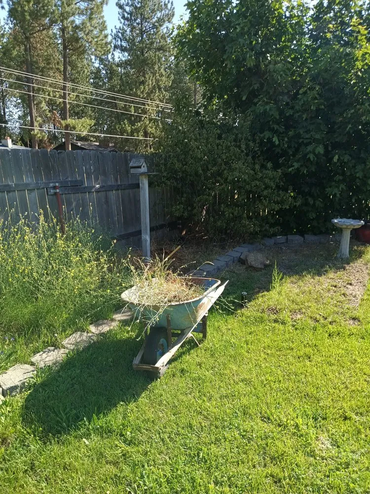 Reliable yard maintenance experts serving Spokane, WA - Rory's Lawn Care