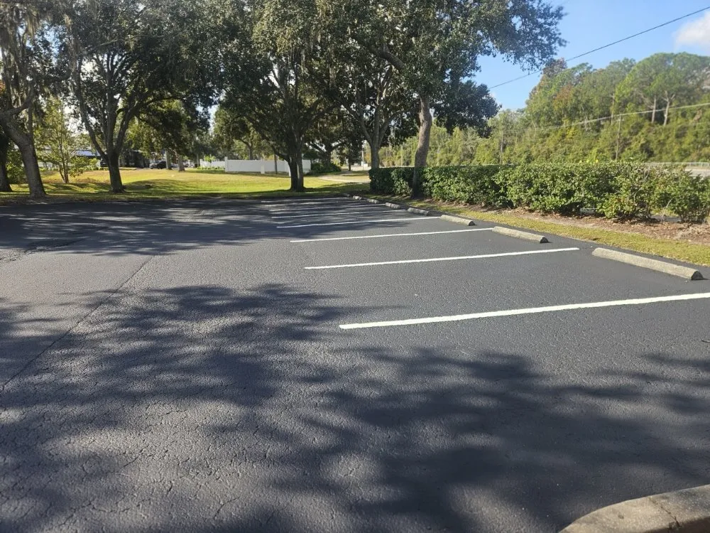 Local landscaping services in Temple Terrace, FL by Ros & Kako Construction