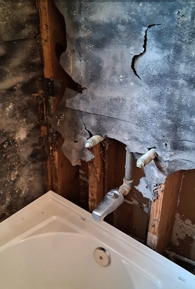 Custom landscape installation in Temple Terrace, FL by Ros & Kako Construction