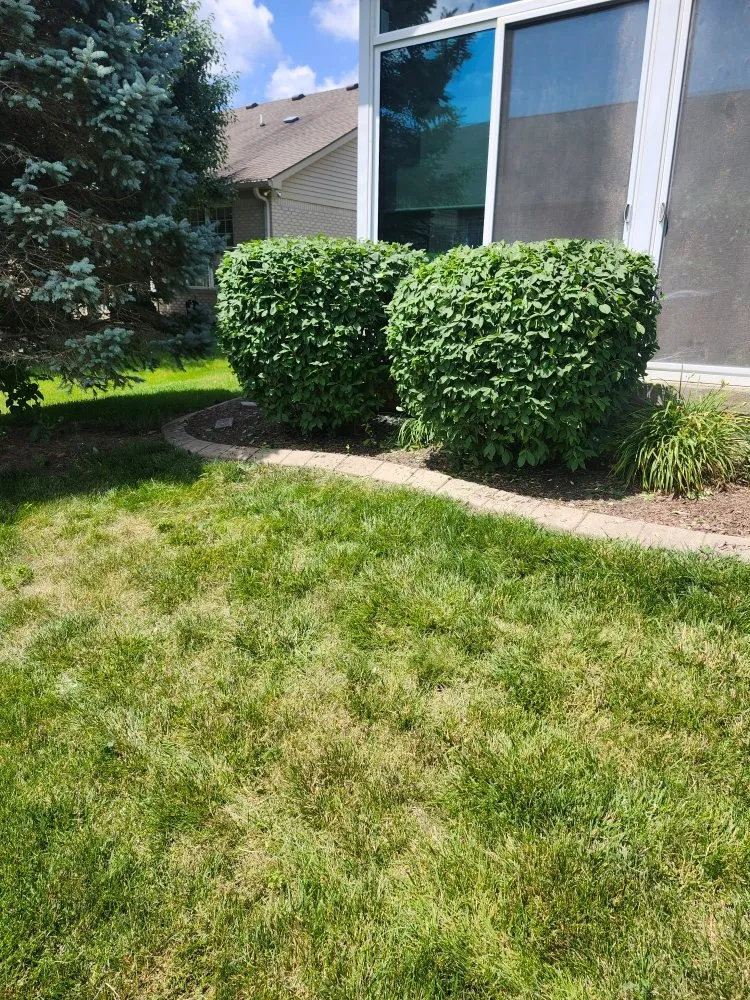 Custom lawn mowing service for residential properties in Greenwood, IN by Ro's Lawn and Landscape
