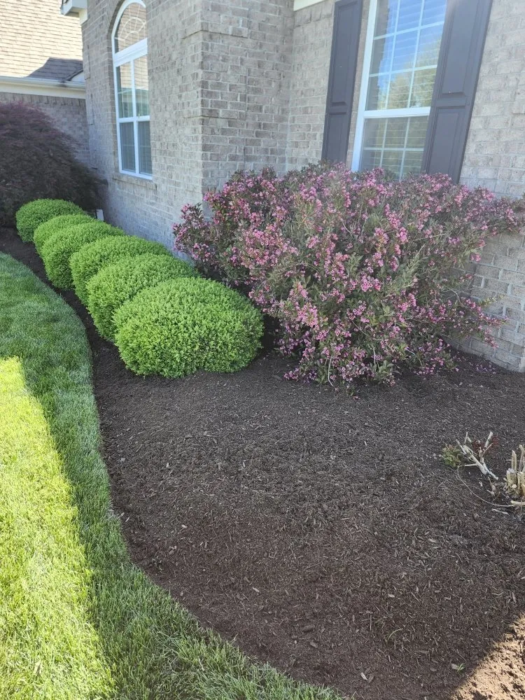 Expert residential landscaping experts serving Greenwood, IN - Ro's Lawn and Landscape