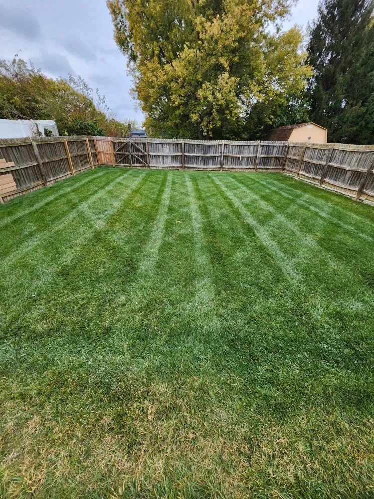 Trusted landscape installation experts serving Greenwood, IN - Ro's Lawn and Landscape