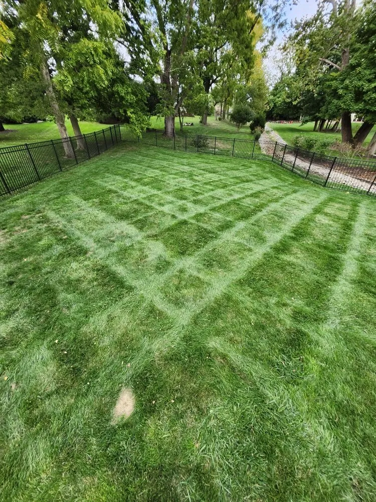 Top-rated lawn care service experts serving Greenwood, IN - Ro's Lawn and Landscape