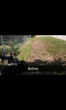 Expert landscape design in La Marque, TX - Ro's LAWN CARE