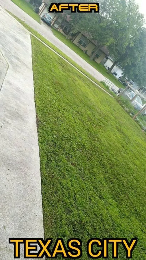 Local landscape design experts serving La Marque, TX - Ro's LAWN CARE