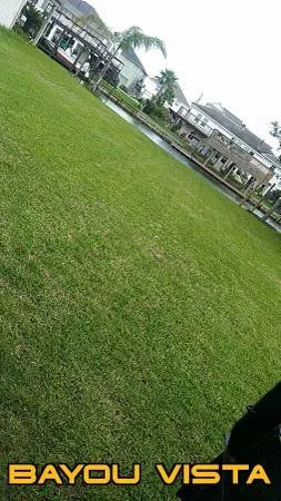 Local residential landscaping experts serving La Marque, TX - Ro's LAWN CARE