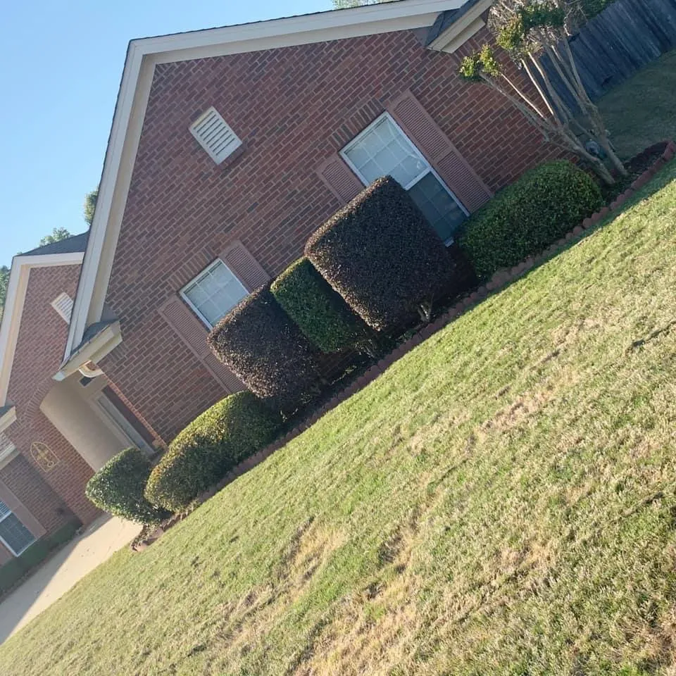 Professional landscape design with custom design in Montgomery, AL by Ro's Lawn Care