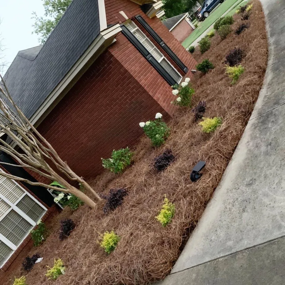 Reliable yard cleanup service for year-round maintenance across Montgomery, AL - Ro's Lawn Care
