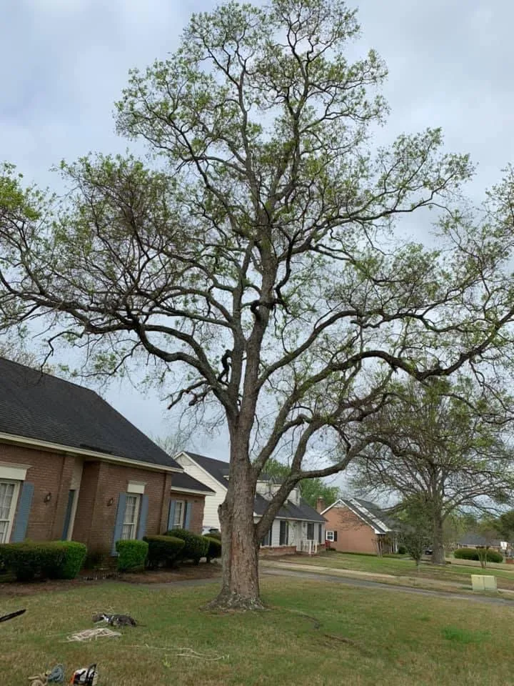 Local landscaping services with custom design across Montgomery, AL - Ro's Lawn Care