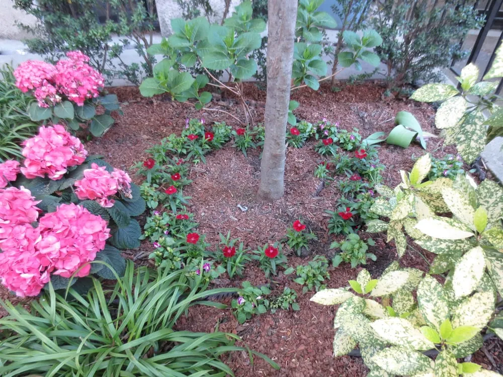 Expert landscape installation in Bucksport, ME by Ros the Gardener