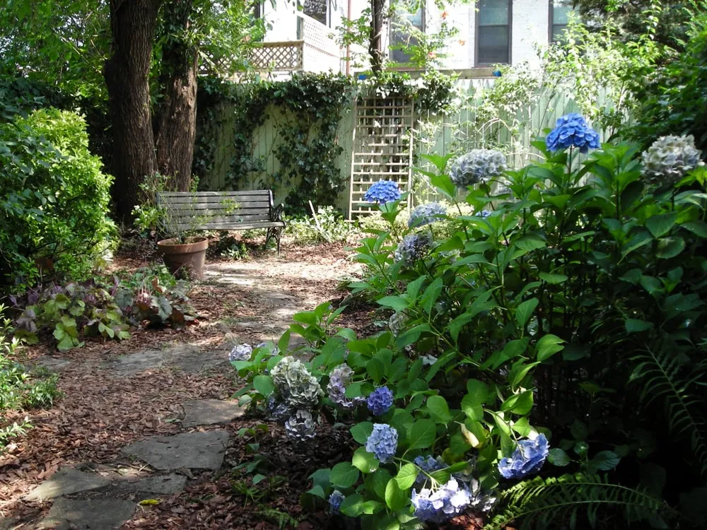 Affordable outdoor landscaping in Bucksport, ME by Ros the Gardener