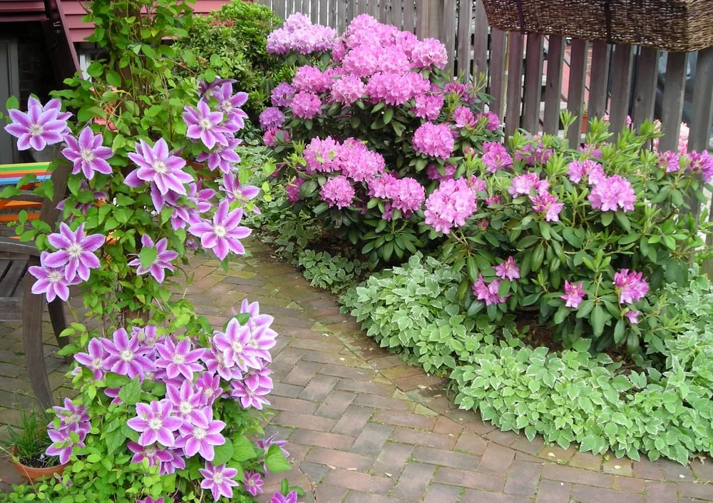 Local outdoor landscaping for residential properties in Bucksport, ME by Ros the Gardener