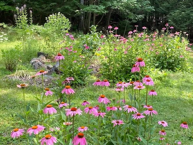 Professional yard maintenance in Bucksport, ME - Ros the Gardener