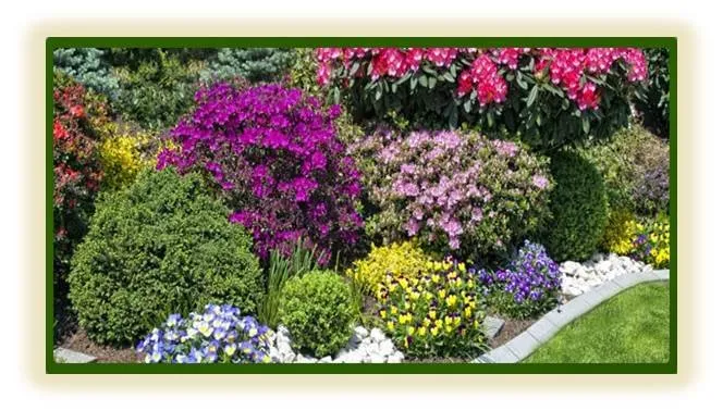 Custom yard maintenance in Westborough, MA by Rosado & Sons