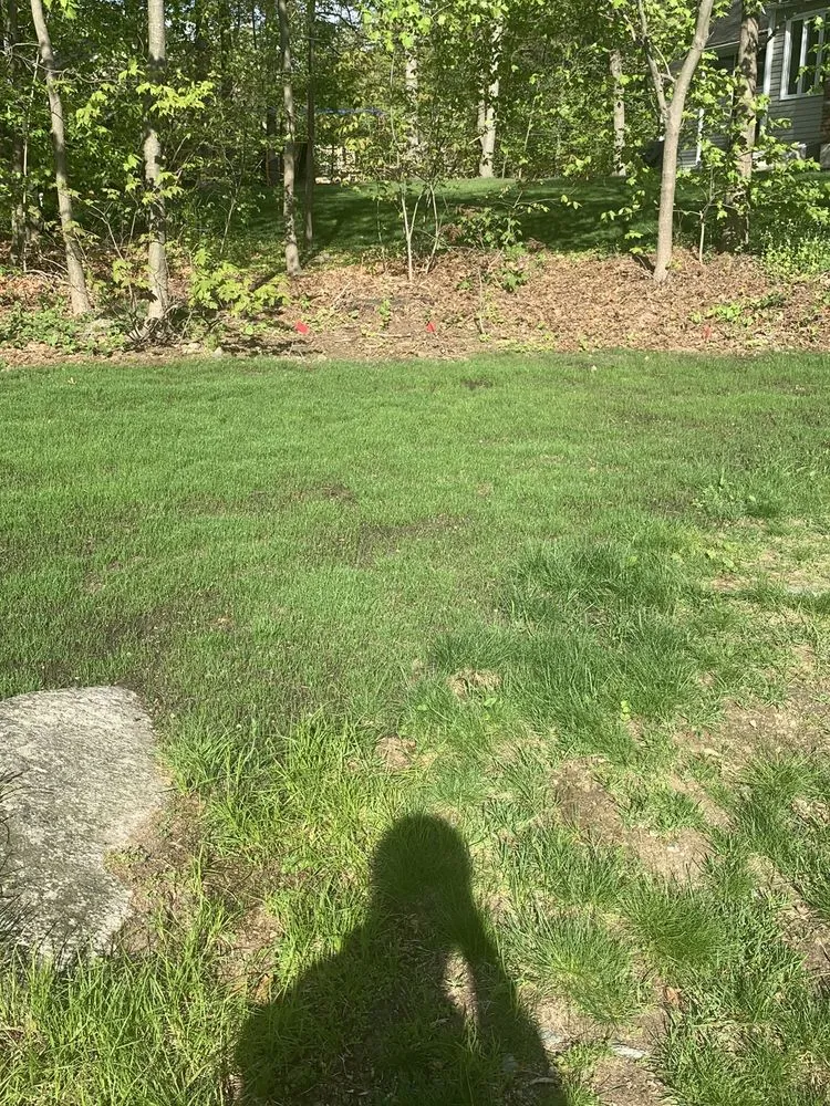 Expert lawn mowing service for residential properties across Westborough, MA - Rosado & Sons