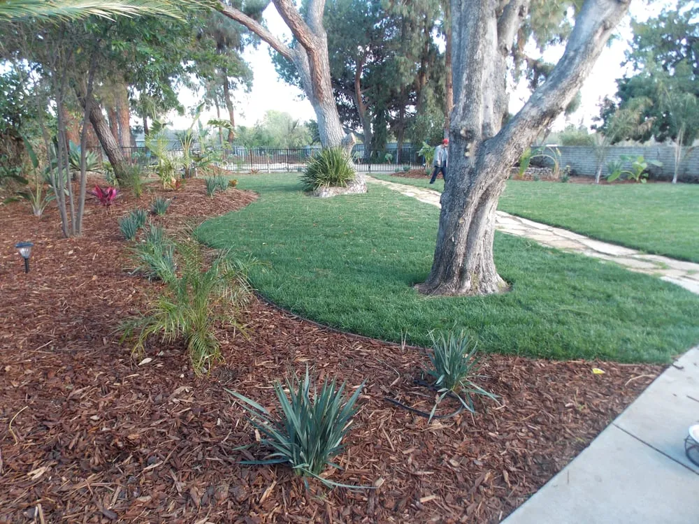 Reliable garden landscaping for residential properties across Studio City, CA - Rosainz Landscape and Maintenance