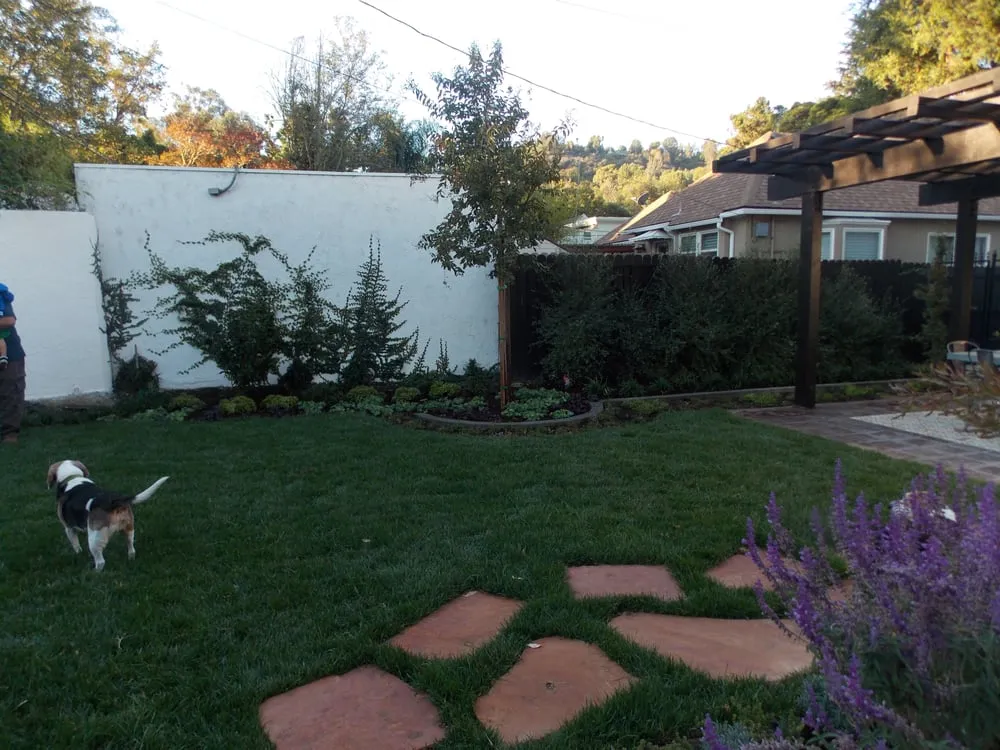 Reliable landscape design in Studio City, CA - Rosainz Landscape and Maintenance