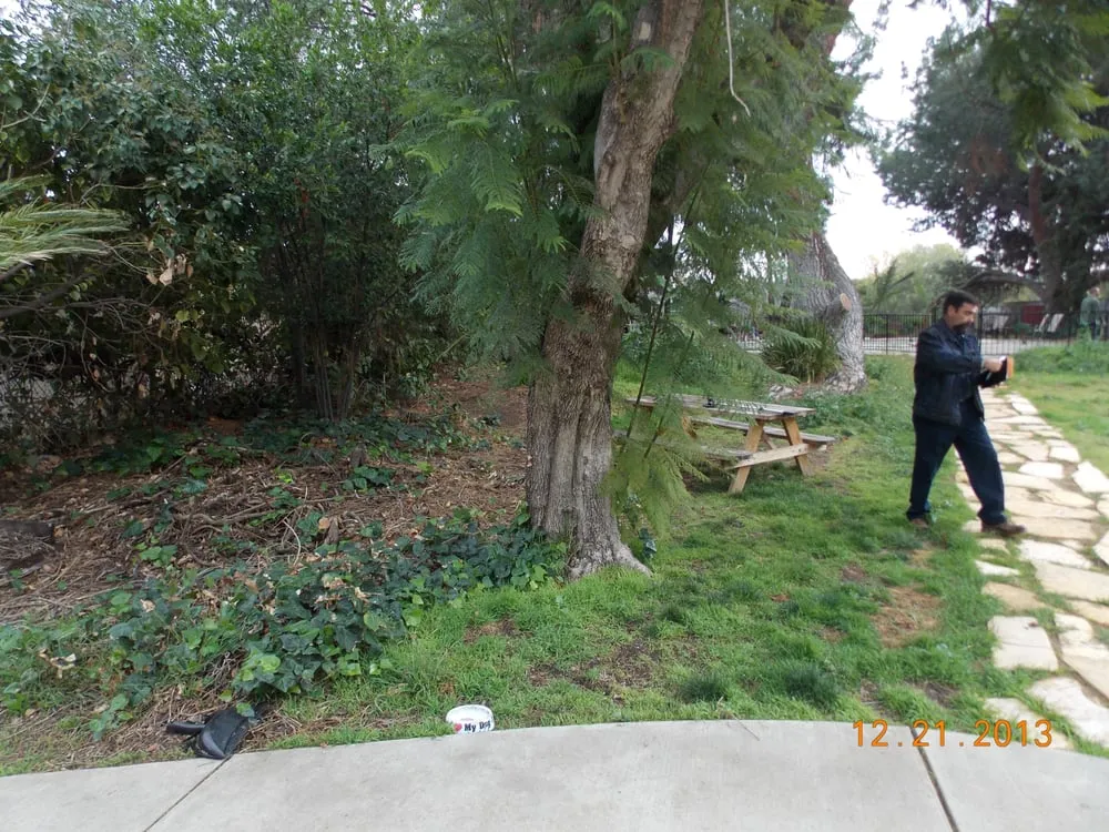 Local lawn care service experts serving Studio City, CA - Rosainz Landscape and Maintenance