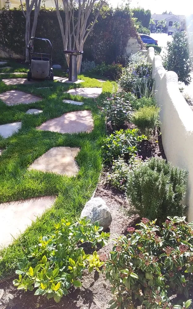 Professional lawn care service experts serving Studio City, CA - Rosainz Landscape and Maintenance