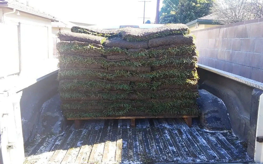 Custom lawn care service for residential properties in Studio City, CA by Rosainz Landscape and Maintenance
