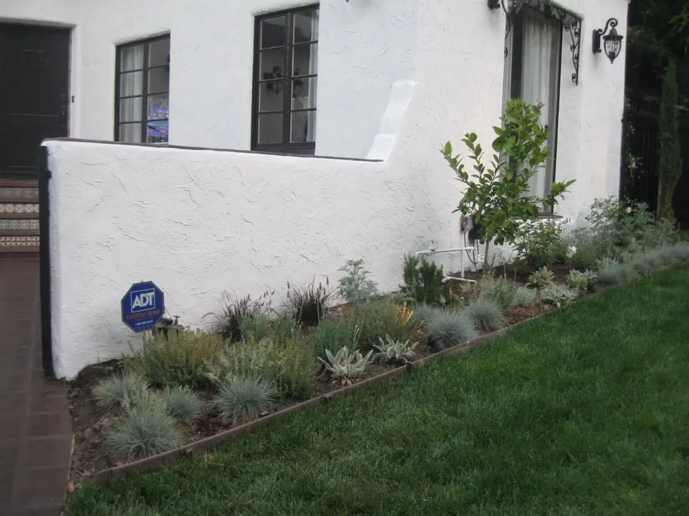Top-rated yard cleanup service in Studio City, CA by Rosainz Landscape and Maintenance