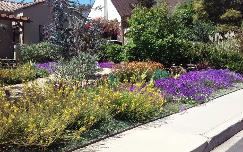 Expert lawn mowing service experts serving Studio City, CA - Rosainz Landscape and Maintenance