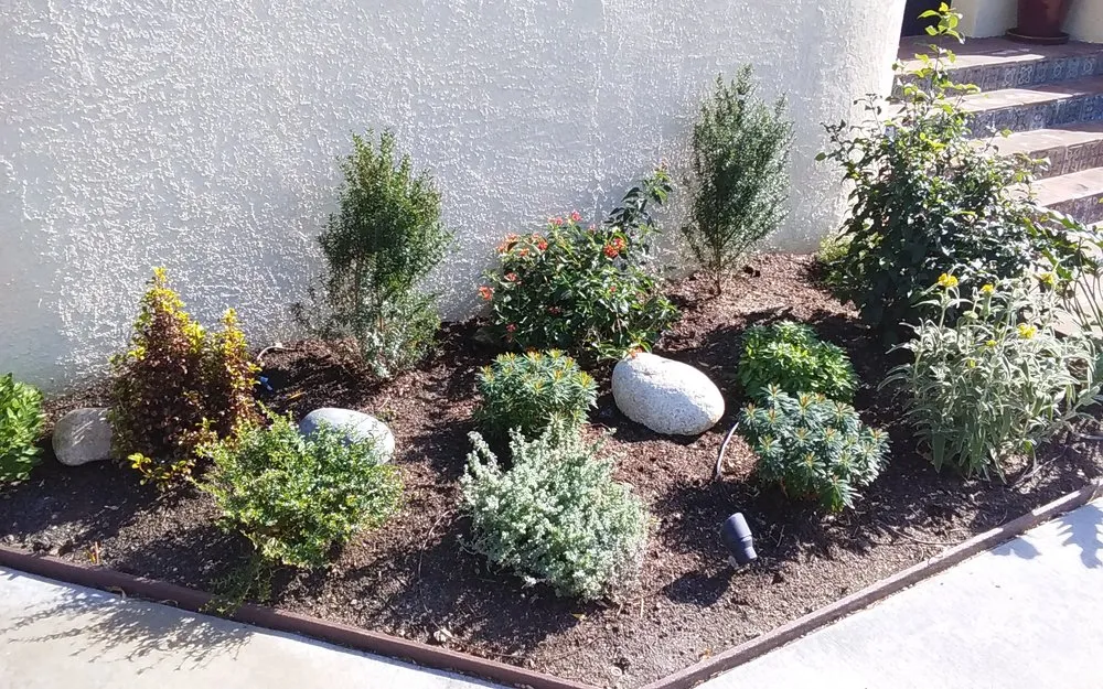Affordable outdoor landscaping for residential properties in Studio City, CA by Rosainz Landscape and Maintenance