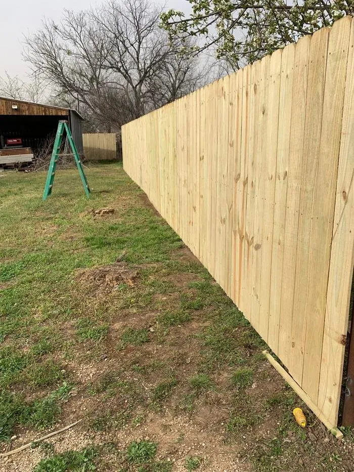 Affordable lawn care service for year-round maintenance across Albany, TX - Rosales Land Management