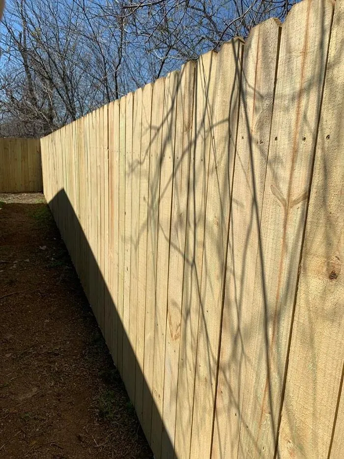 Affordable landscaping services near you across Albany, TX - Rosales Land Management