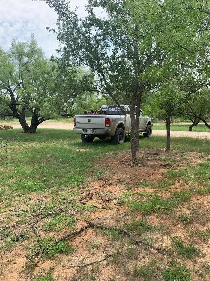 Expert landscape installation experts serving Albany, TX - Rosales Land Management