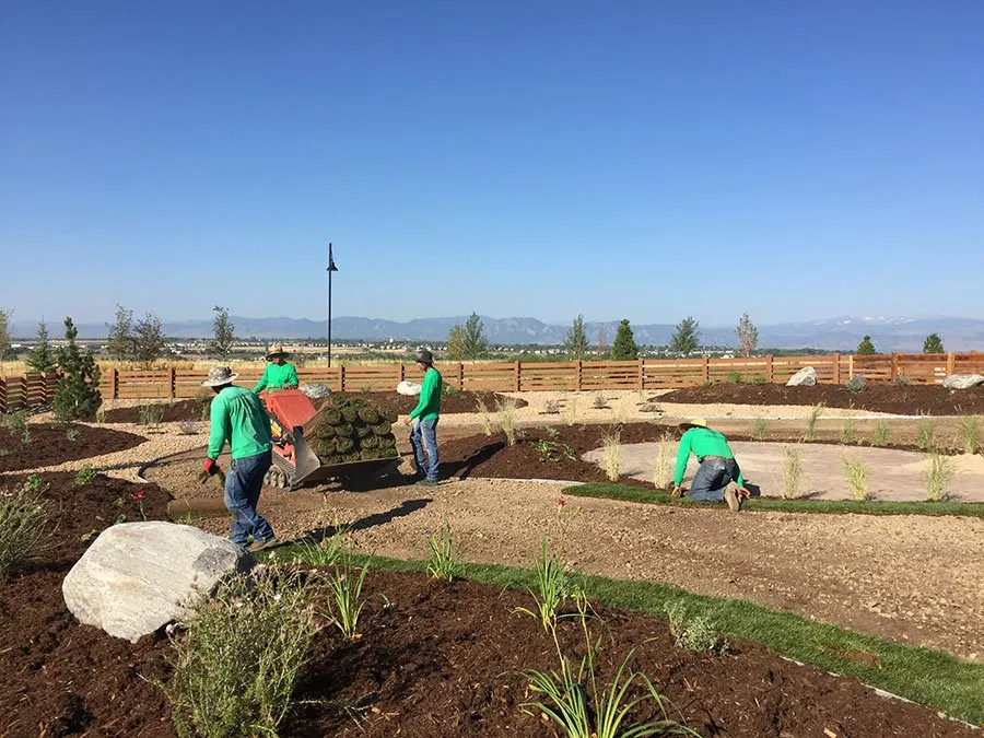 Top-rated landscape design in Brighton, CO by Rosales Landscape