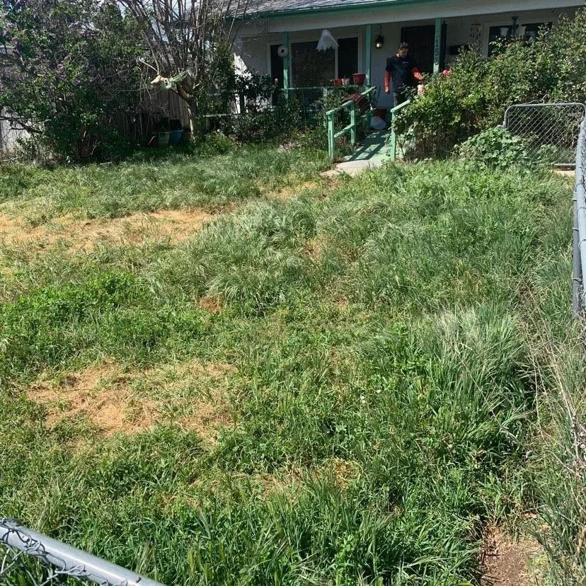 Local landscaping services in Stockton, CA by Rosales Landscaping & Maintenance