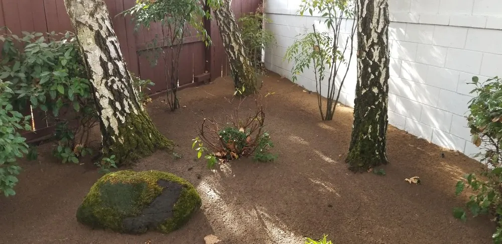 Professional yard maintenance near you across Stockton, CA - Rosales Landscaping & Maintenance