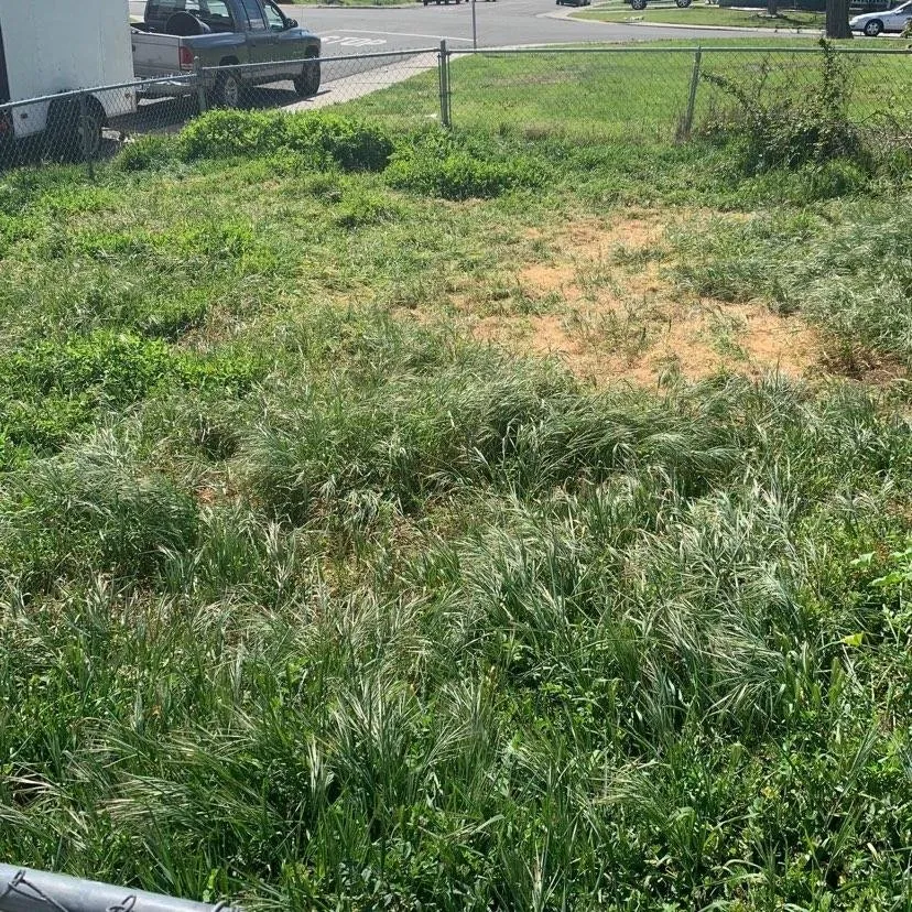 Reliable yard maintenance near you in Stockton, CA by Rosales Landscaping & Maintenance