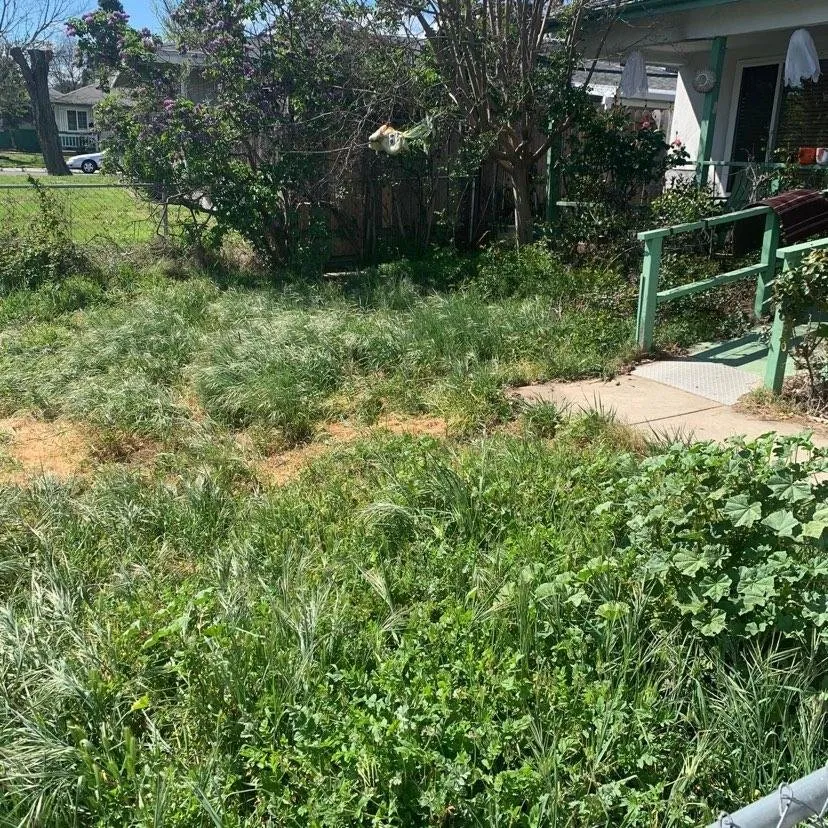 Custom lawn care service experts serving Stockton, CA - Rosales Landscaping & Maintenance