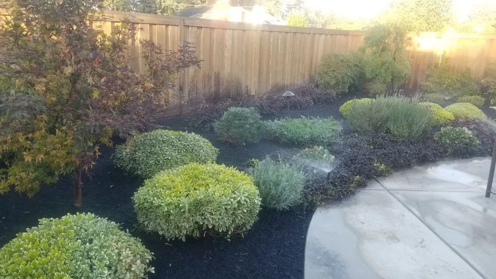 Local residential landscaping in Stockton, CA - Rosales Landscaping & Maintenance