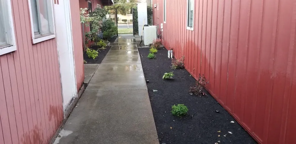 Custom lawn care service for year-round maintenance in Stockton, CA by Rosales Landscaping & Maintenance