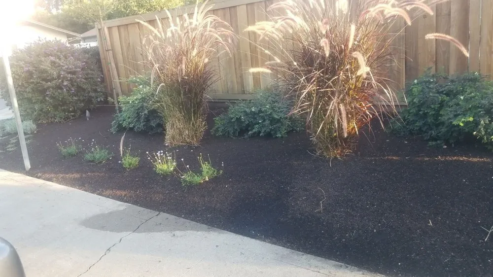 Custom landscaping services near you across Stockton, CA - Rosales Landscaping & Maintenance
