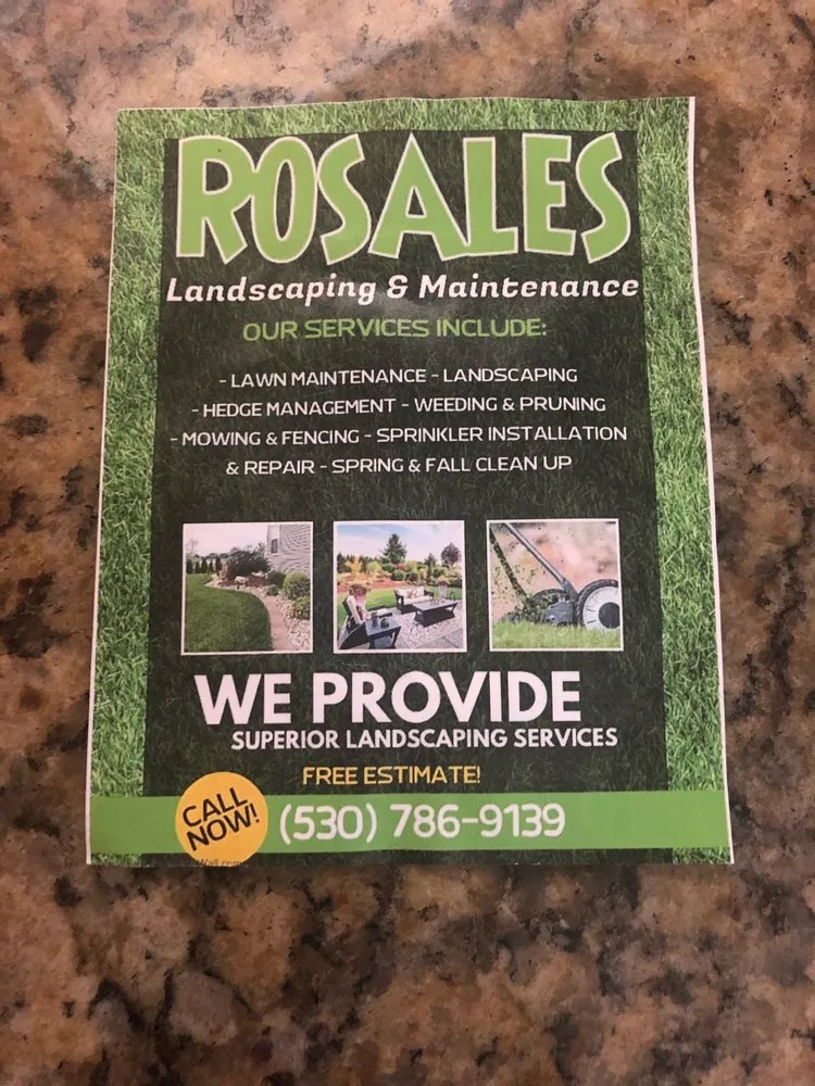 Professional garden landscaping in Stockton, CA by Rosales Landscaping & Maintenance