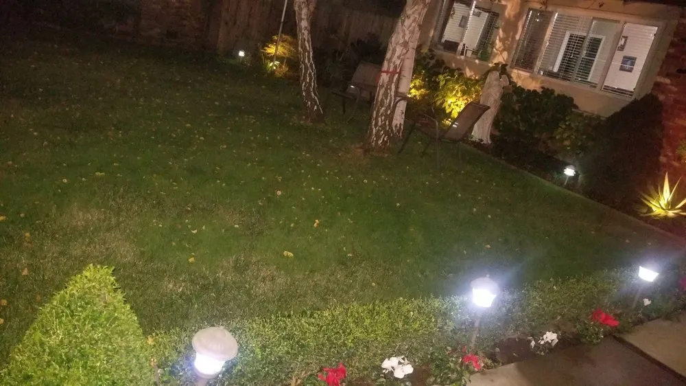 Top-rated landscape installation for year-round maintenance in Stockton, CA by Rosales Landscaping & Maintenance