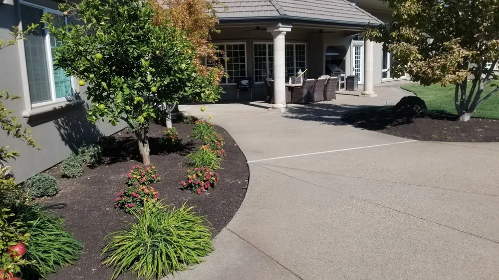 Expert residential landscaping near you in Stockton, CA by Rosales Landscaping & Maintenance