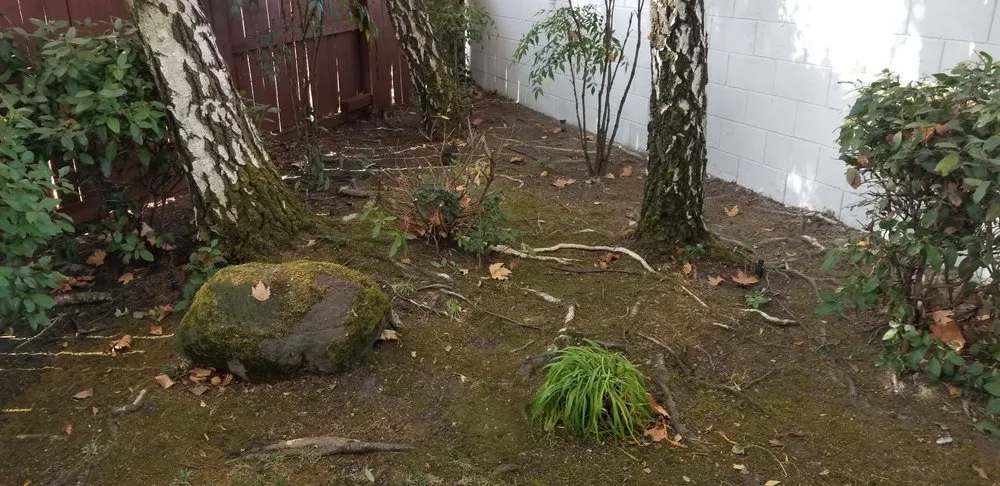 Custom landscape installation with custom design in Stockton, CA by Rosales Landscaping & Maintenance