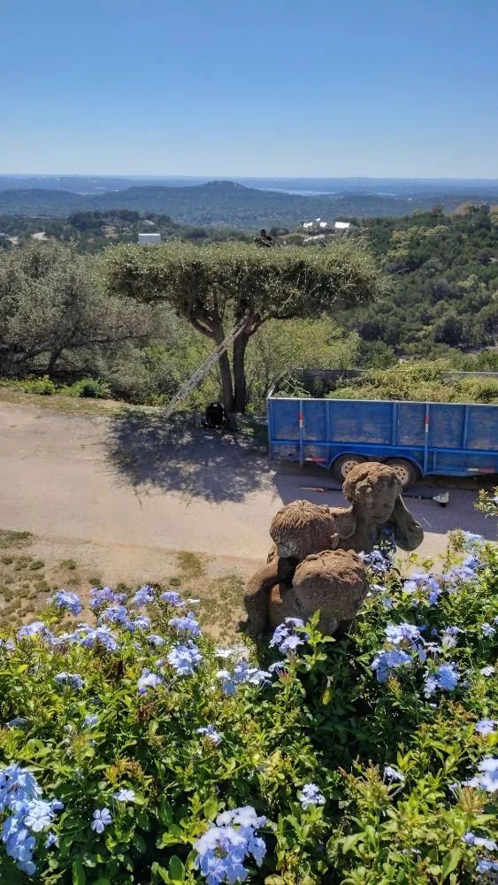 Affordable yard cleanup service in Lago Vista, TX by Rosales Landscaping