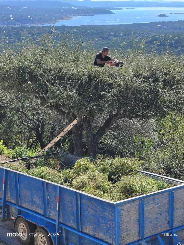 Local garden landscaping in Lago Vista, TX - Rosales Landscaping