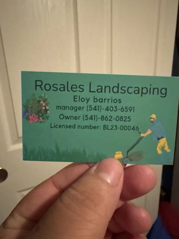 Top-rated lawn care service in Medford, OR by Rosales Landscaping