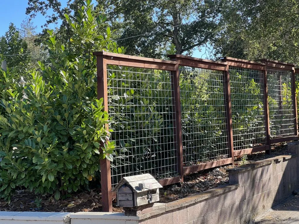 Professional yard maintenance for beautiful yards across Napa, CA - Rosales Landscaping