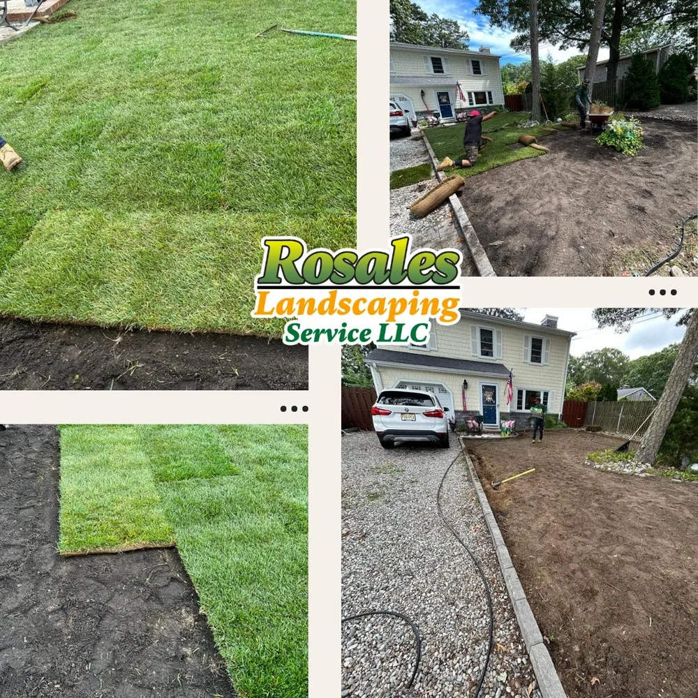 Top-rated landscape design in Lakewood, NJ by Rosales Landscaping Service