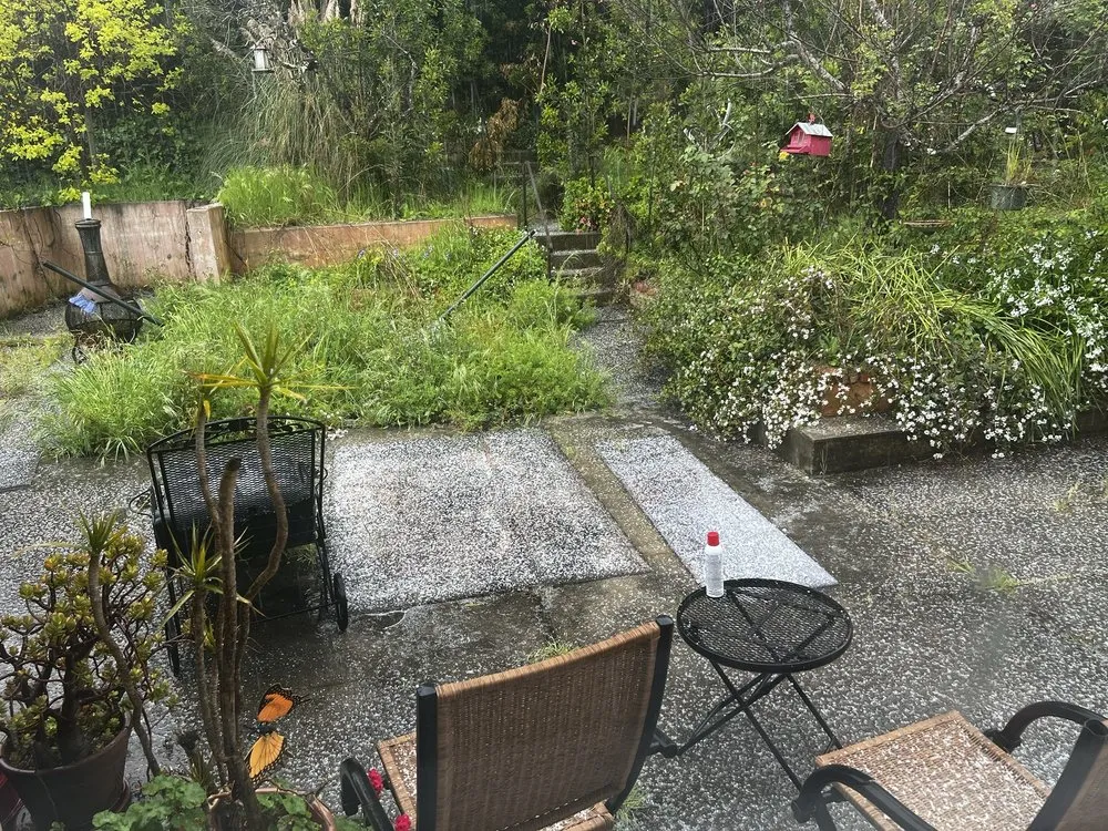 Expert residential landscaping in Hayward, CA - Rosales Landscaping Services