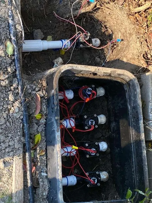 Professional yard maintenance in Hayward, CA by Rosales Landscaping Services