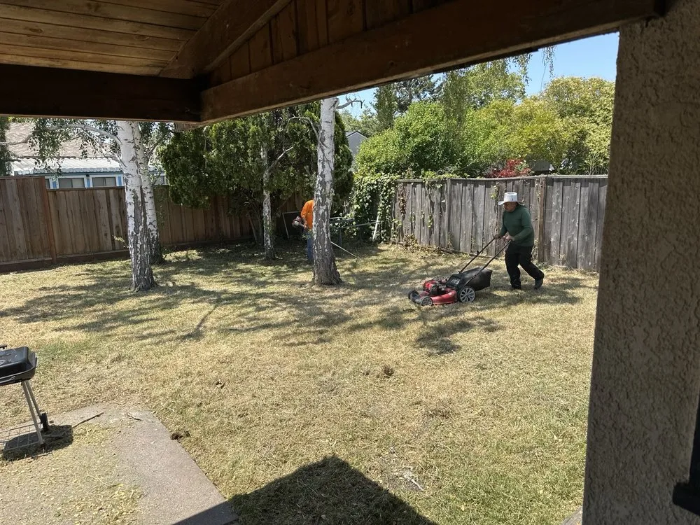Professional lawn mowing service experts serving Hayward, CA - Rosales Landscaping Services